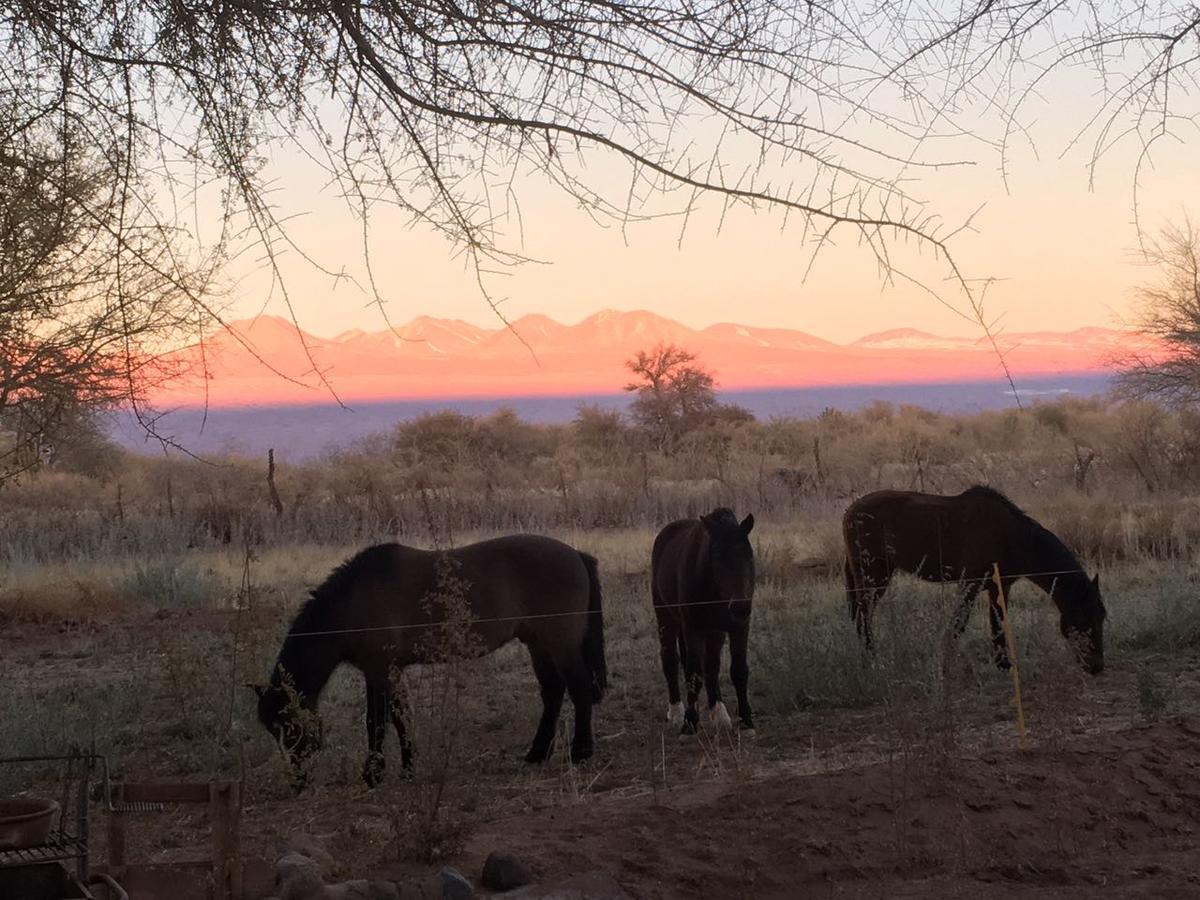 Andes Nomads Desert Camp & Lodge San Pedro de Atacama Exterior foto