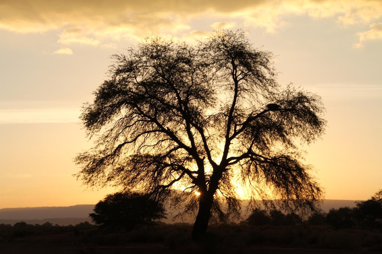 Andes Nomads Desert Camp & Lodge San Pedro de Atacama Exterior foto